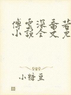 傅云深乔若桑的小说全文免费阅读