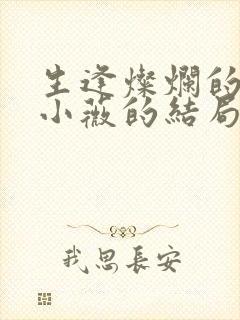 生逢灿烂的日子小薇的结局