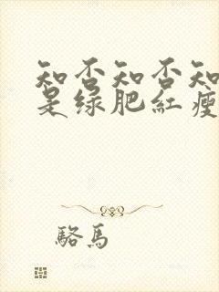 知否知否知否应是绿肥红瘦高清在线观看封面