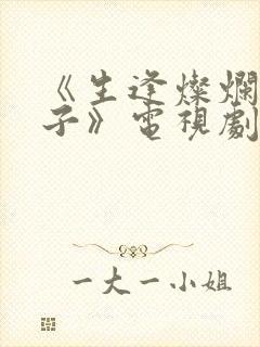 《生逢灿烂的日子》电视剧