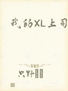 我的XL上司封面