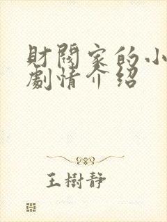 财阀家的小儿子剧情介绍