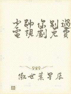 少帅你别过分野电视剧免费播放封面