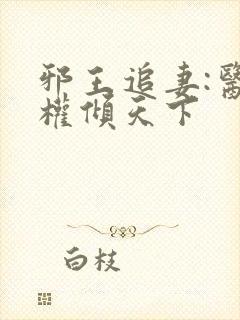 邪王追妻:医妃权倾天下