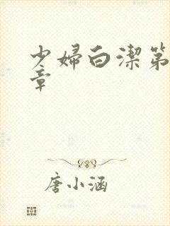 少妇白洁第27章