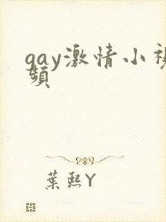 gay激情小视频