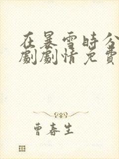 在暴雪时分电视剧剧情免费观看