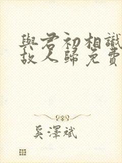 与君初相识恰似故人归免费在线观看