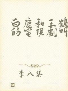 白鹿和王鹤棣演的电视剧叫什么封面