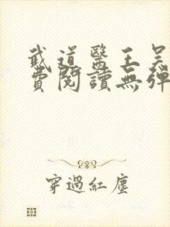 武道医王吴东免费阅读无弹窗全文