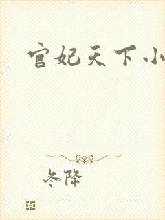 官妃天下小说封面
