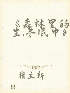 《森林里的熊先生,冬眠中》