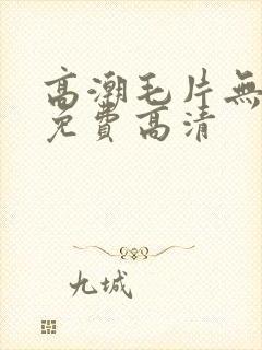 高潮毛片无遮挡免费高清