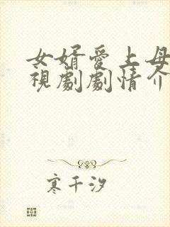 女婿爱上母娘电视剧剧情介绍