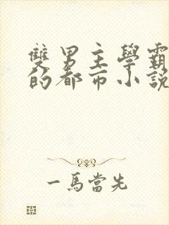 双男主学霸校霸的都市小说有哪些