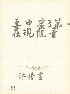 妻中蜜3第一季在现观看