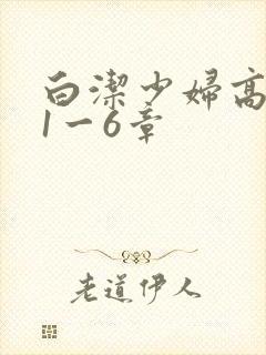 白洁少妇高义第1一6章