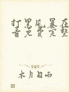 打黑风暴在线观看免费完整版扫黑封面