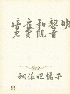 暗夜和黎明全集免费观看