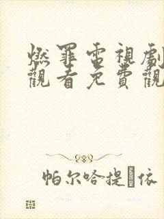 燃罪电视剧在线观看免费观看封面