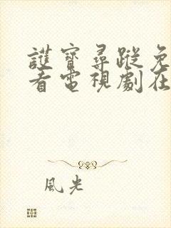 护宝寻踪免费观看电视剧在线播放