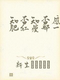 知否知否应是绿肥红瘦哪一年拍的