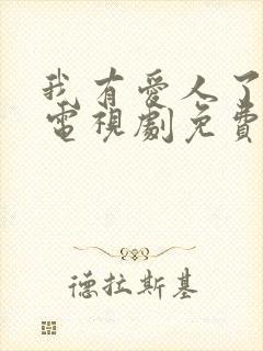 我有爱人了韩剧电视剧免费观看全集封面