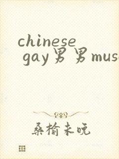 chinese gay男男muscle网站