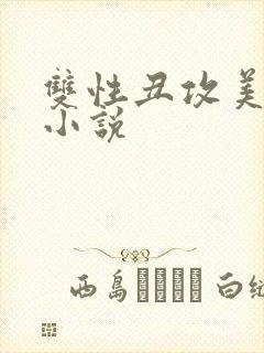 双性丑攻美人受小说封面