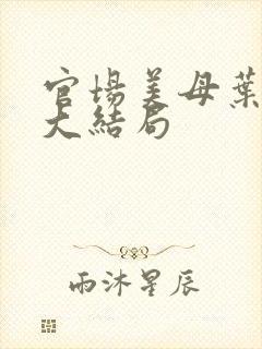 官场美母叶玉瑶大结局