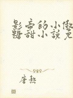 影帝的小傲娇比糖甜小说免费阅读封面