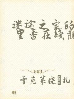 迷途之家的姐姐 里番在线观看