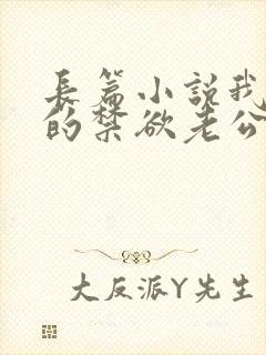 长篇小说我闪婚的禁欲老公,竟是财阀大佬封面