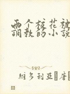 两个校花被富豪调教的小说