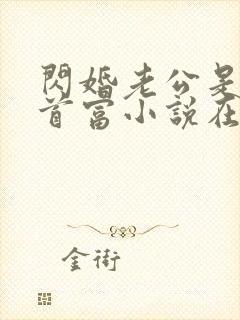 闪婚老公是千亿首富小说在线收听