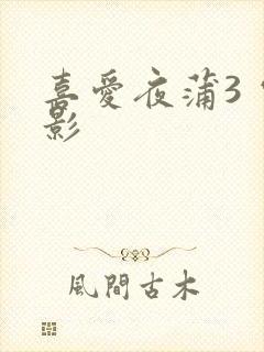 喜爱夜蒲3 电影