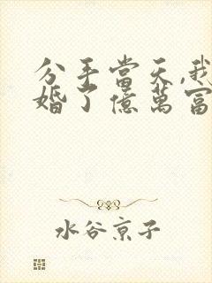 分手当天,我闪婚了亿万富豪txt封面