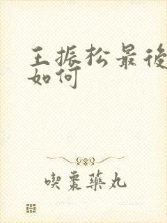 王振松最后结局如何封面