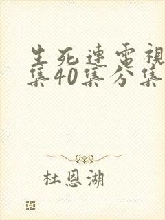 生死连电视剧全集40集分集剧情