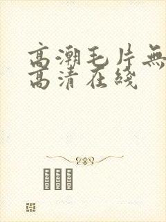 高潮毛片无遮挡高清在线