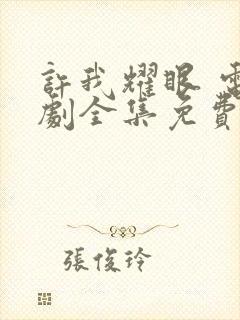 许我耀眼 电视剧全集免费观看