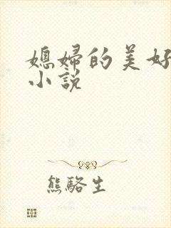 媳妇的美好时代小说