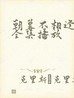 朝暮不相逢短剧全集播放