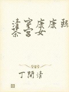 清穿康康熙的奉茶宫女