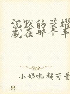 沉默的荣耀电视剧在哪个平台播放封面