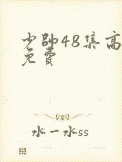 少帅48集高清免费封面