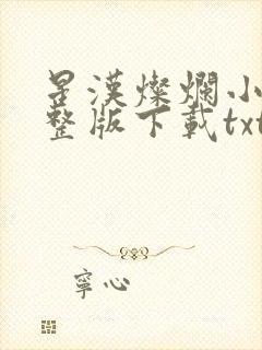 星汉灿烂小说完整版下载txt封面