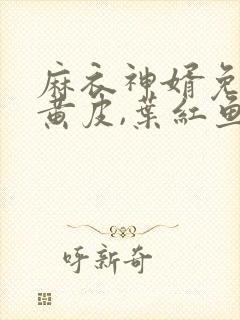 麻衣神婿免费陈黄皮,叶红鱼