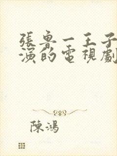 张鲁一王子文主演的电视剧有什么