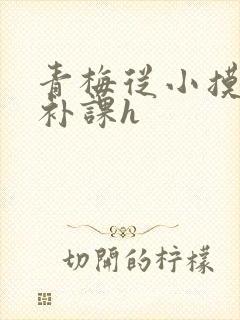 青梅从小摸到大补课h